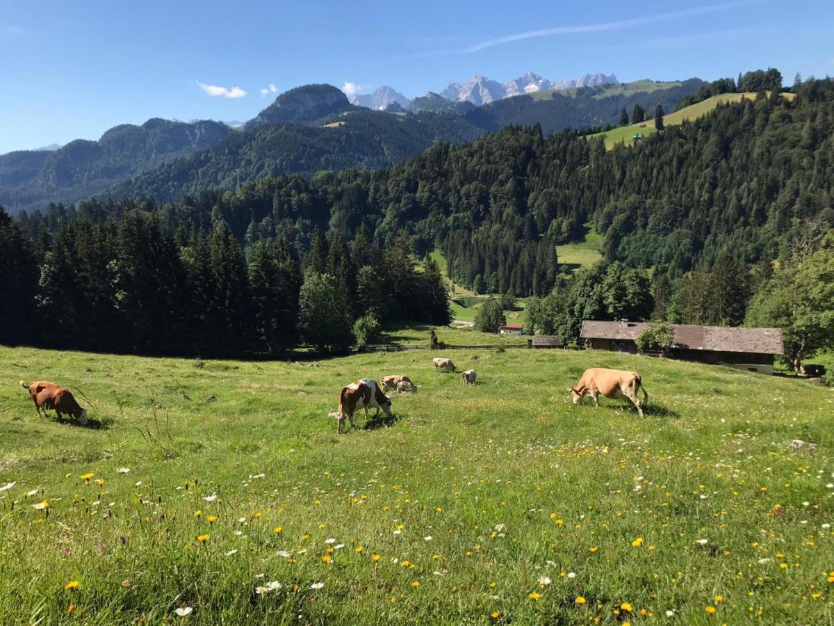 Biobauernhof Schneiderbauer Appartement Unken Buitenkant foto