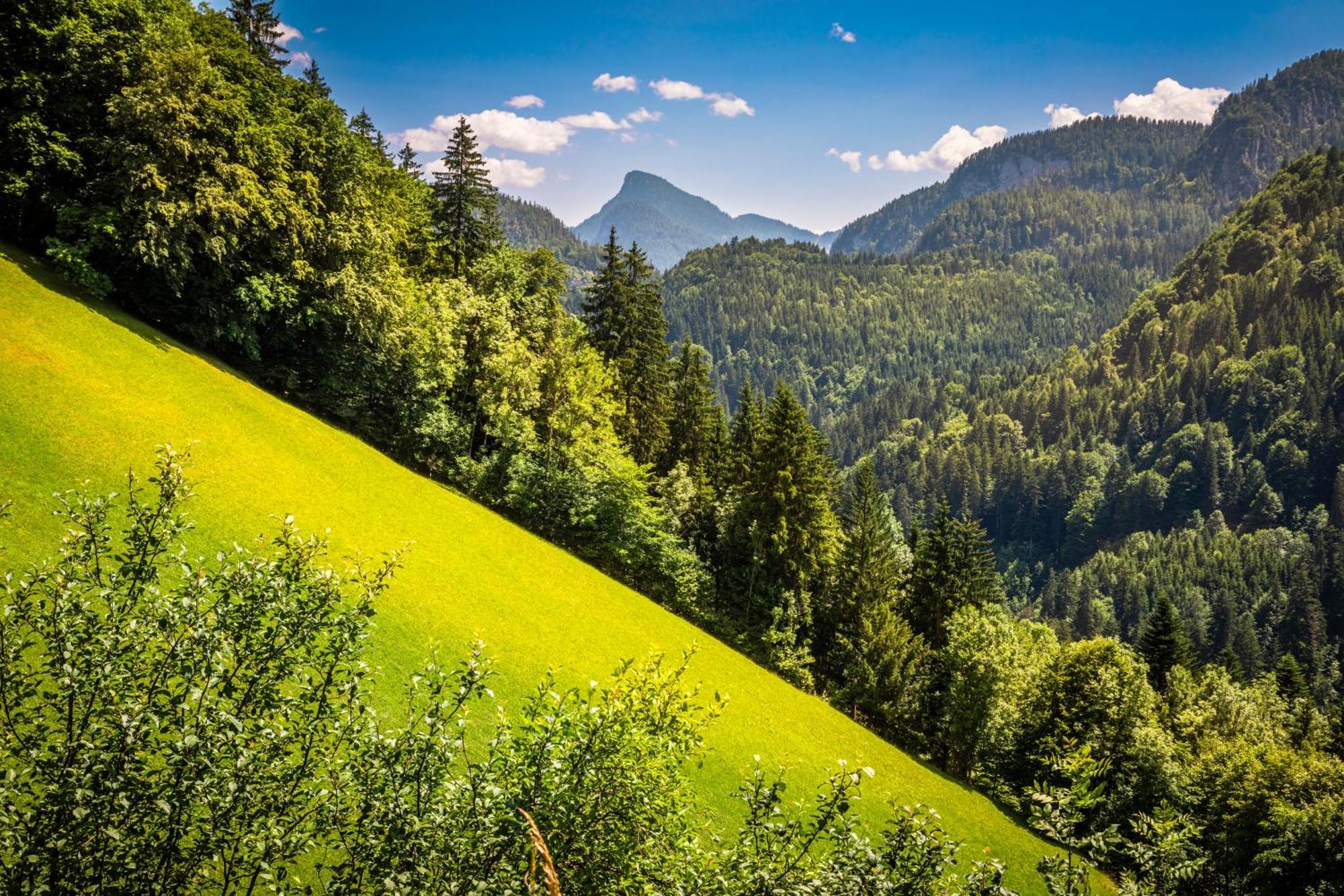 Biobauernhof Schneiderbauer Appartement Unken Buitenkant foto