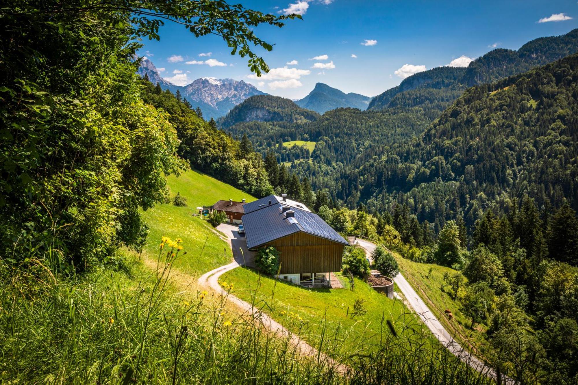 Biobauernhof Schneiderbauer Appartement Unken Buitenkant foto